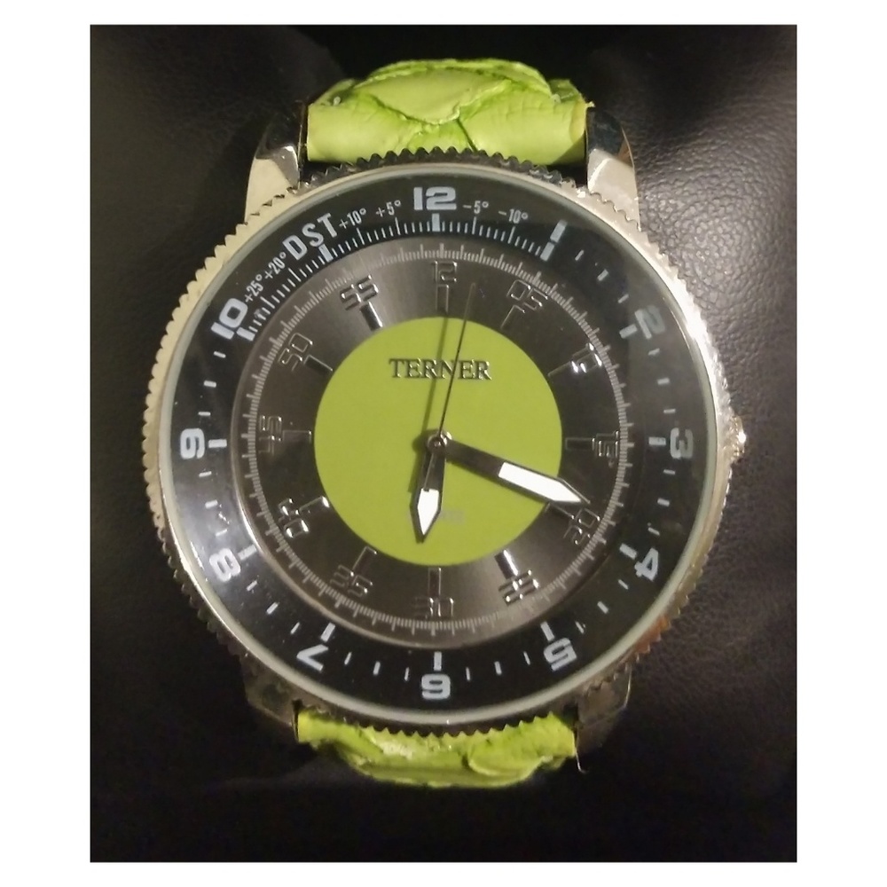 Terner Watch - image 1